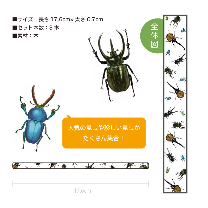 昆虫標本。3 本ツノカブト . 衝撃価格】ツノが三本生えた世界最大のカブトムシを迎え入れまし